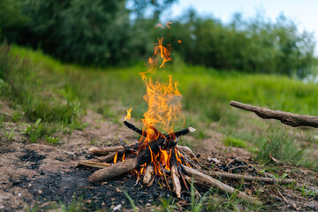 Closeup of burning brushwood campfire on forest ground on blurred background of trees and grass. Closeup yellow flame burning in bonfire. Camp fire in cloudy day outdoors.
