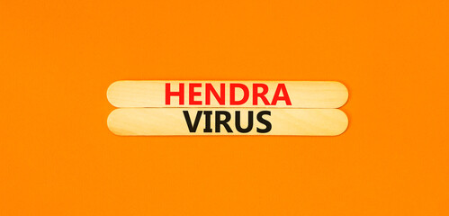 Hendra virus symbol. Concept words Hendra virus on wooden sticks. Beautiful orange table orange background. Medical hendra virus concept. Copy space.