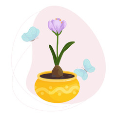 Crocus flowers and buds in a flowerpot with flying butterflies on an abstract background.Vector graphics.