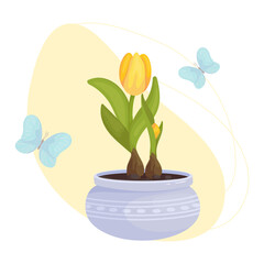 Tulip flowers and buds in a flowerpot with flying butterflies on an abstract background.Vector graphics.