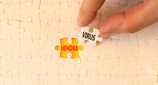 Hendra virus symbol. Concept words Hendra virus on white paper puzzles. Beautiful yellow table yellow background. Businessman hand. Medical hendra virus concept. Copy space.