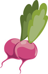 Radish color icon. Ripe spring salad vegetable