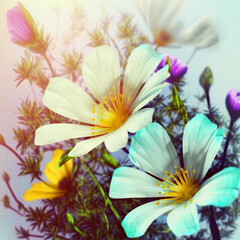 Spring wildflowers, bright and beautiful. Wallpaper with flowers. Beautiful spring background.