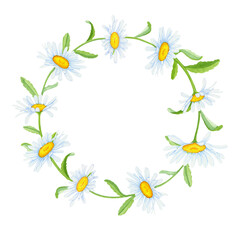 A wreath of daisies on a white background. spring concept. Botanical watercolor illustration

