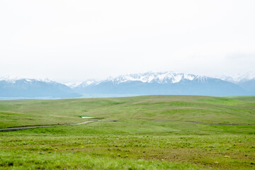White Wallowa Mountain Range and Green Rolling Hills of Zumwalt Prairie in Oregon in Winter