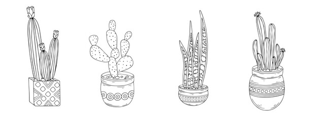Linear sketch coloring plants of the succulent, cactus family in flower pots. Vector graphics.