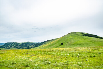 Rolling Green Hills of Zumwalt Prairie Near Wallowa, OR on Cloudy Day