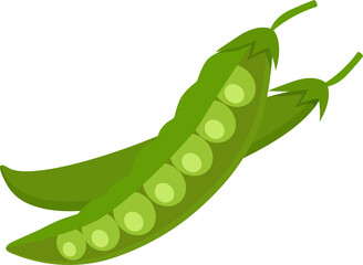 Vector pods of young peas