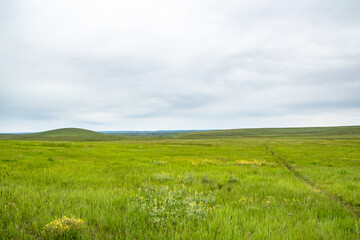Fototapeta na wymiar Rolling Green Hills of Zumwalt Prairie Near Wallowa, OR on Cloudy Day