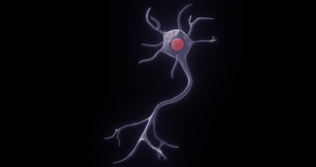 Multipolar Neuron in 3D illustration