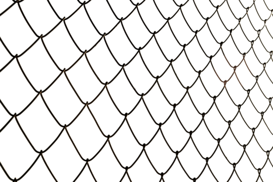 Black mesh texture isolated on white background, clipping path. metal mesh