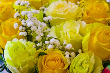 Bouquet of Yellow roses