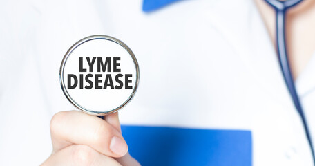 lyme disease and hand with stethoscope of Medical Doctor