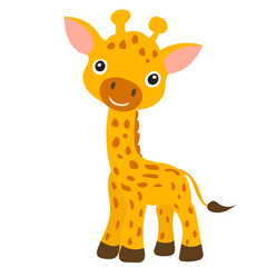 Fototapeta premium giraffe cartoon with big eyes on a white background, vector