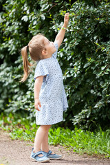 A girl in a light summer dress reaches out with her hand to a branch with green leaves, a small child in full growth