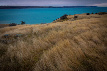 Meadow over Lake, New Zealand
