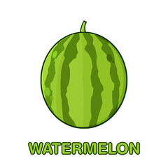 Green Watermelon Fresh Fruit Cartoon Drawing Simple Design. Hand Drawn Illustration Isolated On Transparent Background