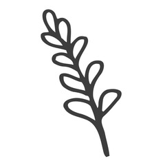 doodle leaves branch icon isolated