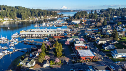 Mount Rainier in Gig Harbor, Washington 