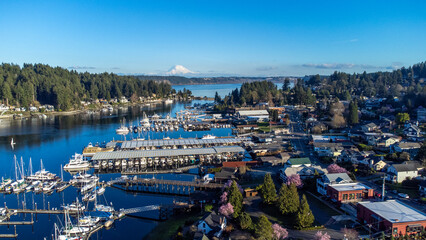 Mount Rainier in Gig Harbor, Washington 