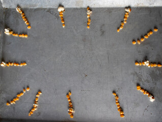 Rustic metal sheet with a popcorn frame