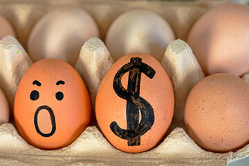 simple brown eggs with a painted dollar and a frightened face in an egg container. Economic crisis,...
