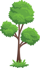Woodland plant icon. Cartoon green park tree
