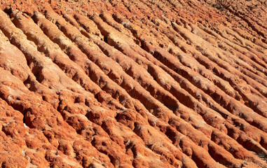 A close-up of an area with soil eroded by the rains