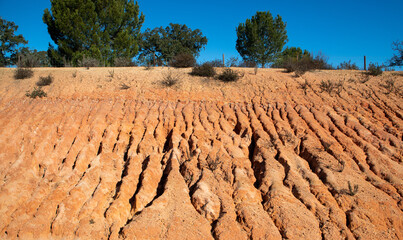 A close-up of an area with soil eroded by the rains