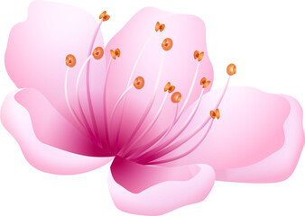 Pink petal flower. Realistic floral design element