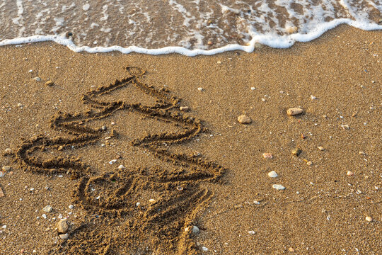 Merry Christmas from a tropical climate. Fir tree painted on the sand near the sea