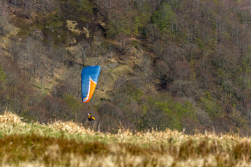 Parapente en vol au-dessus d'une forêt