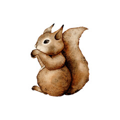 Watercolor single squirrel animal isolated on a white background illustration. Forest animals and watercolor nature elements
