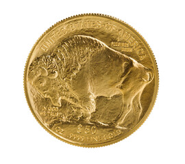 Reverse side of American Gold Buffalo coin on transparent background 