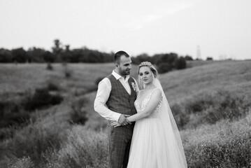 Fototapeta na wymiar bride blonde girl and groom in a field