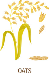 Oats cartoon illustration. Cereal grain farm crop