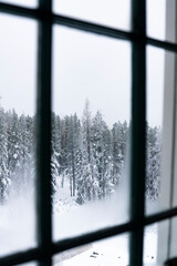 Snowy Trees Looking Out The Window of Winter Cabin