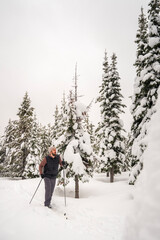 Cross Country Skier in Montana