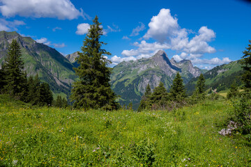 Obraz premium On the way to the Körbersee, Hochtannberg, Hochkrumbach, Arlberg Region, View toward Widderstein, Voralberg, Austria