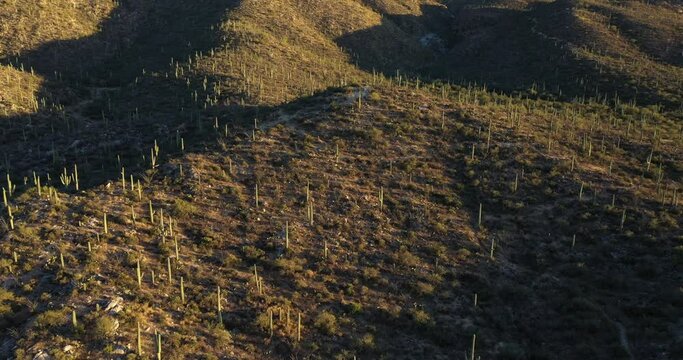 The low angled sun casts long shadows upon the desert hills and mountains near Saguaro National Park, Arizona.