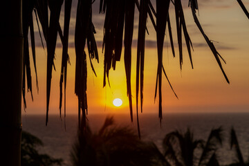 Sunset on the beach through a palm tree