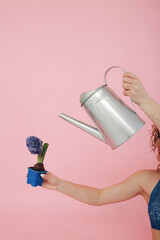 Pot with beautiful hyacinth plant on pink background. purple hyacinth in a woman's hand. blue hyacinth in a blue pot on a pink background. water the flower with a metal watering can. spring flowers © Anhelina 