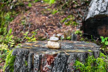 The Riva waterfalls, also known as Campo Tures waterfalls are located in South Tyrol. They are located near Campo Tures, in Valle Aurina