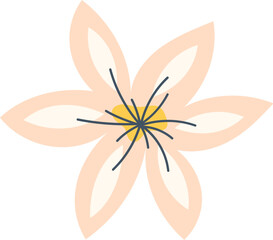 Soft spring flower illustration