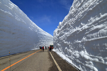 立山黒部 雪の大谷 ウォーキング ゾーンの風景 ( 2022年4月 富山県 立山町 )