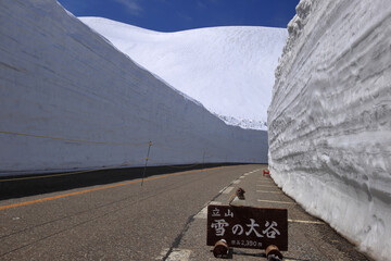 立山黒部 雪の大谷 ウォーキング ゾーンの風景 ( 2022年4月 富山県 立山町 )