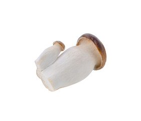 King oyster mushrooms isolated on transparent png