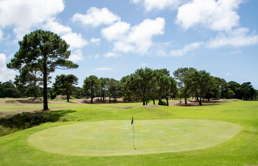 Campo de deporte de golf con un verde e impecable césped en verano