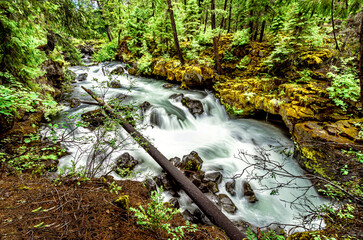 Rogue Umpqua Wilderness Oregon