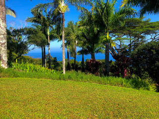 Fototapeta premium Hawaii